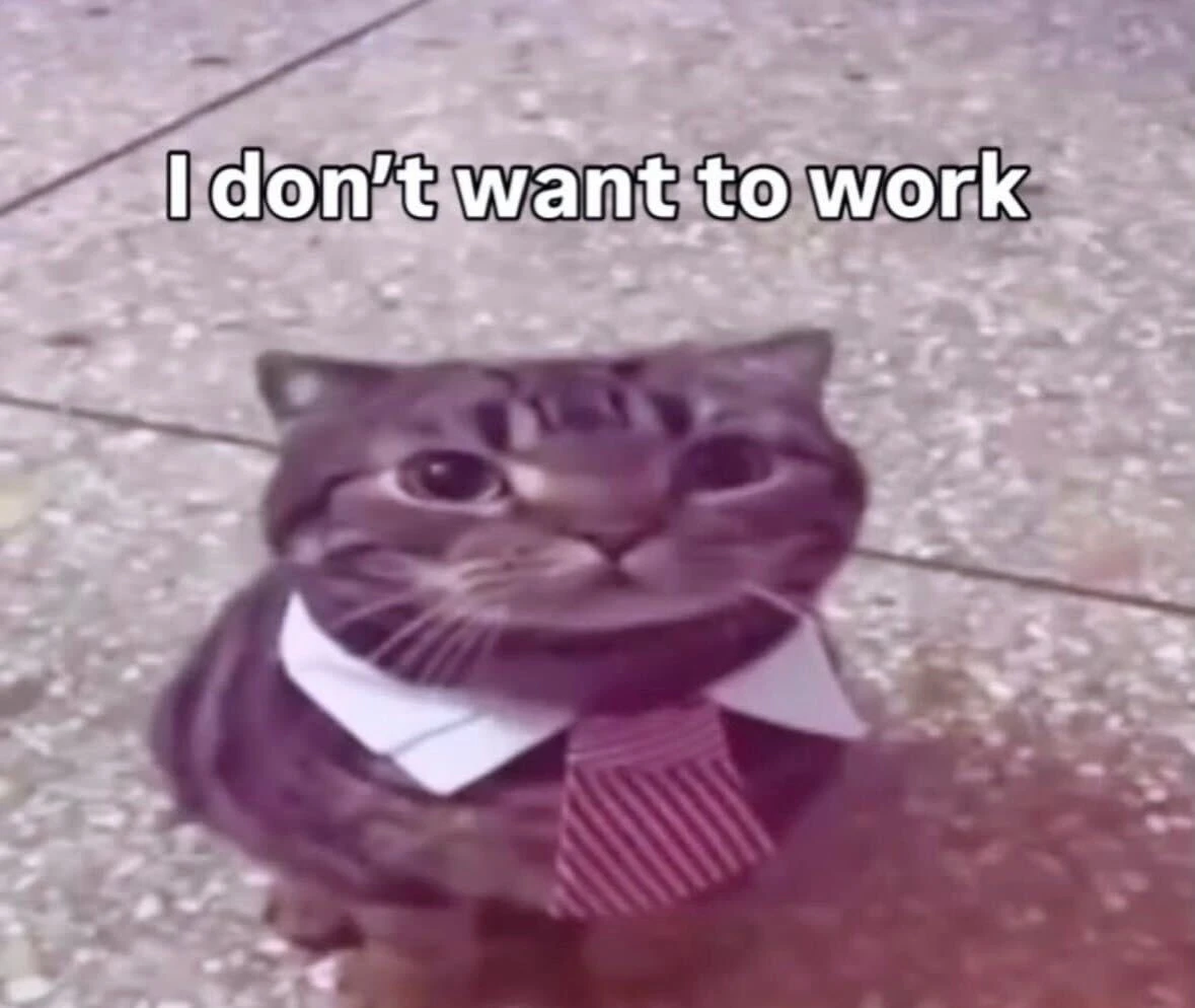 A cat in a shirt collar and tie. The caption says: I don't want to work.